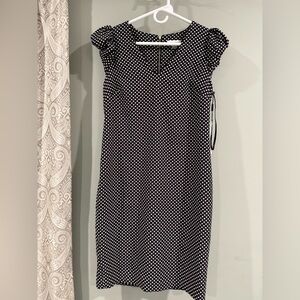 Black Calvin Klein V-Neck Pleated Cap Sleeve White Polka Dots Dress Size 12